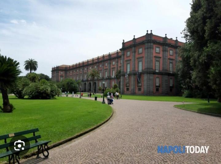 Hébergement de vacances Chez Bois - Capodimonte